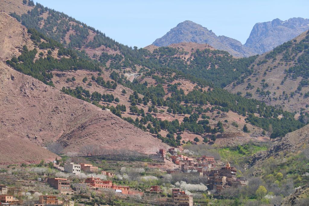 Tamatert Guest House Imlil  Buitenkant foto